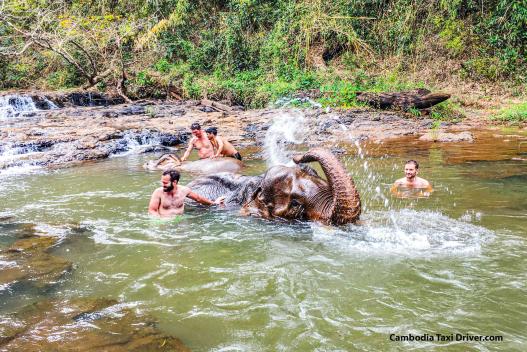 Highlight Experience Cambodia Tours