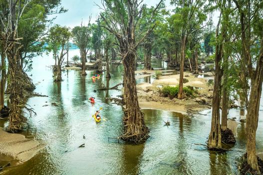 Mekong River Experience Adventure