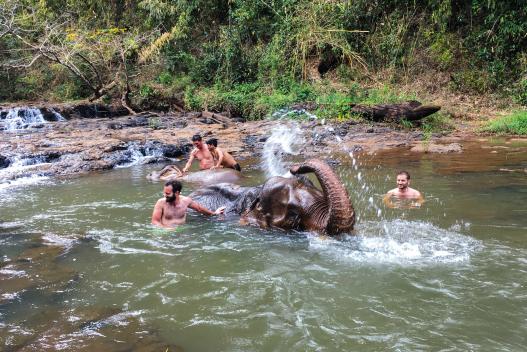 Highlight Experince Cambodia Tours